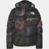 The North Face 1996 Retro - Winter Jacket - Tnf Black Trail Glow Print